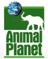 Animal Planet Nonprofit Partner