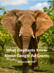 What Elephants Know About Google Ad Grants